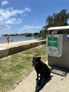 Container Exchange Points: A Smart Way to Recycle on the Go | Containers for Change QLD