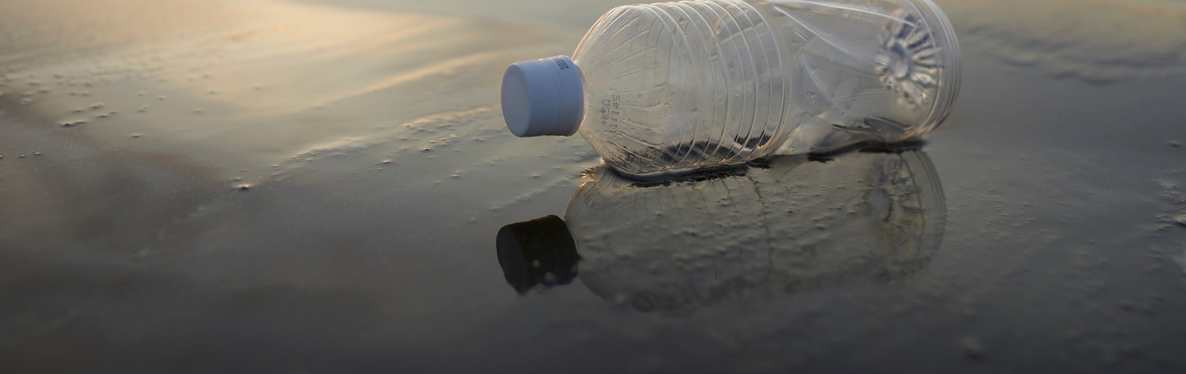 World Environment Day 2025 | Containers for Change Queensland