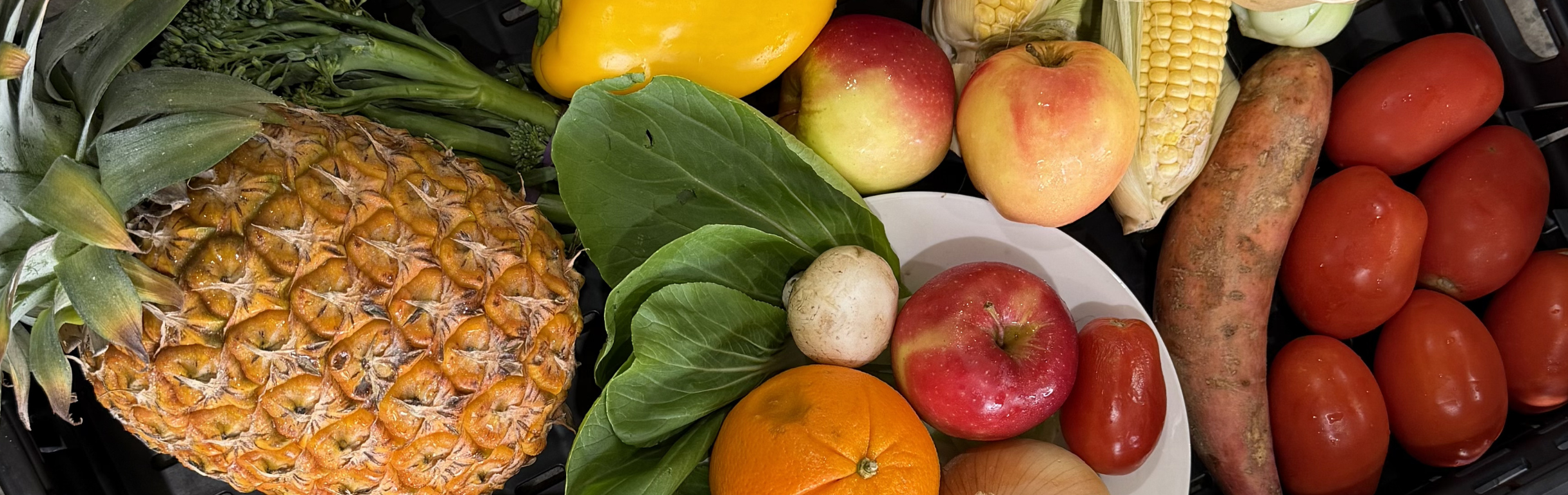 200,000 Meals Delivered: How Queenslanders’ Container Donations Are Fighting Hunger