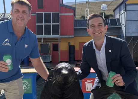 Seal-ebrating 500,000 containers returned at SeaWorld | Containers for Change Queensland