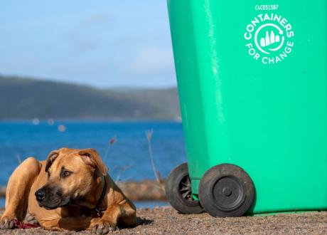 Remote animal charity celebrates major milestone | Containers for Change Queensland