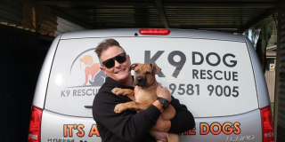 $10,000 a year, straight to the kennels 